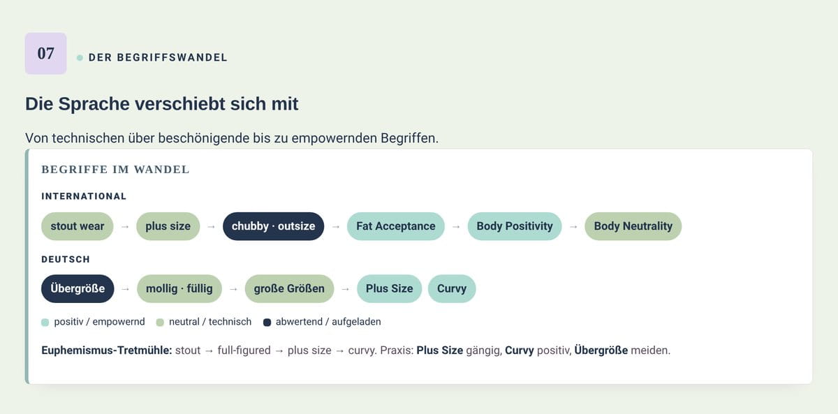 Infografik zum Begriffswandel von Übergröße über große Größen bis Plus Size und Curvy