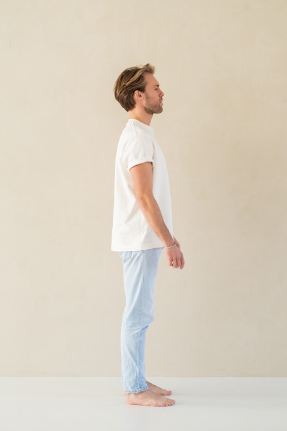 Model Floris v.