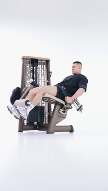 Model Alan N.